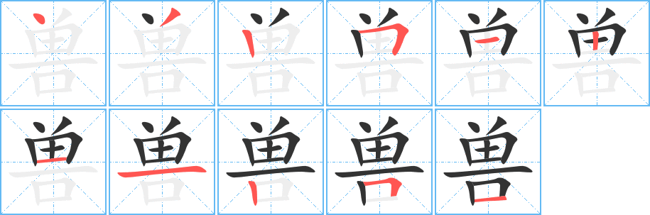 兽字笔顺写法