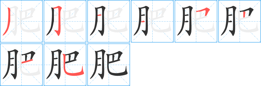 肥字笔顺写法