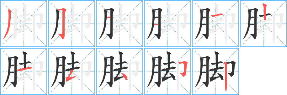 脚字笔顺写法