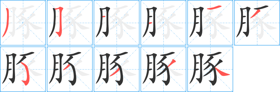 豚字笔顺写法