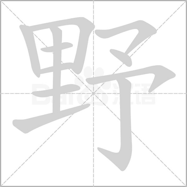 野字笔顺动画