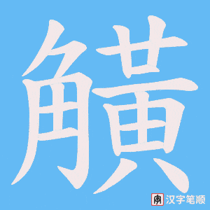 觵字笔顺动画