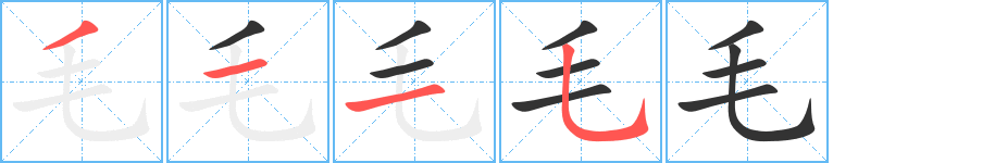 毛字笔顺写法