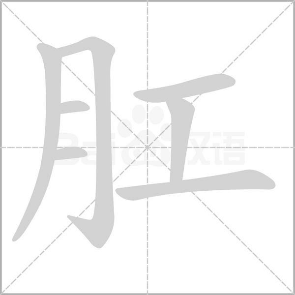 肛字笔顺动画