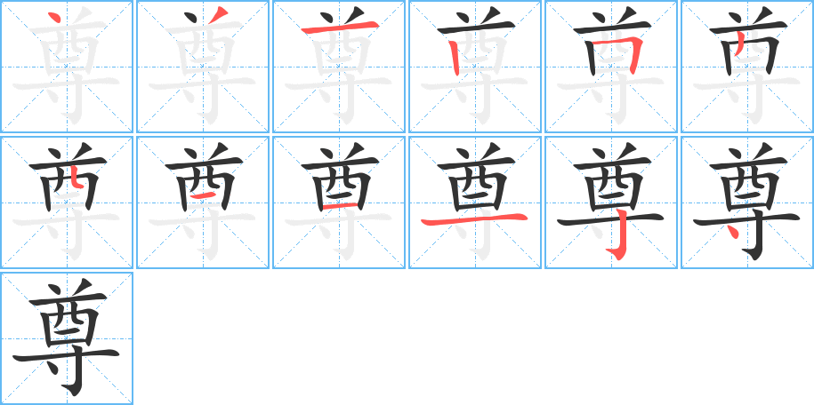 尊字笔顺写法