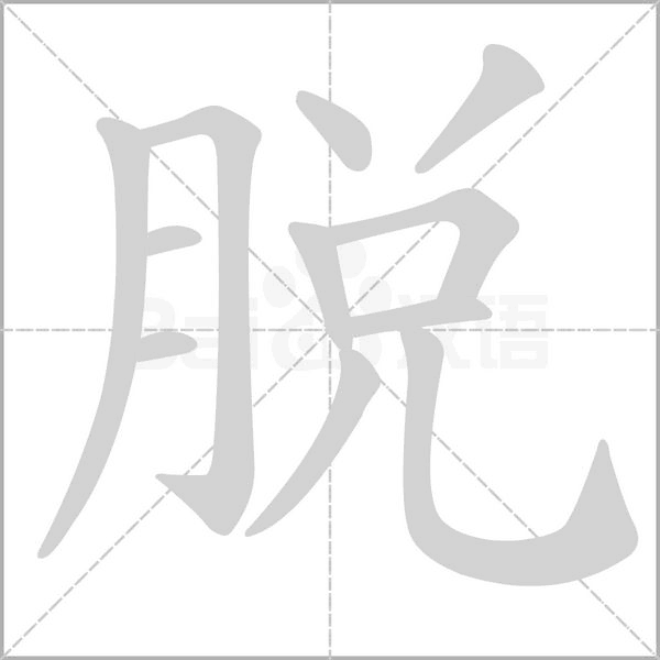 脫字笔顺动画