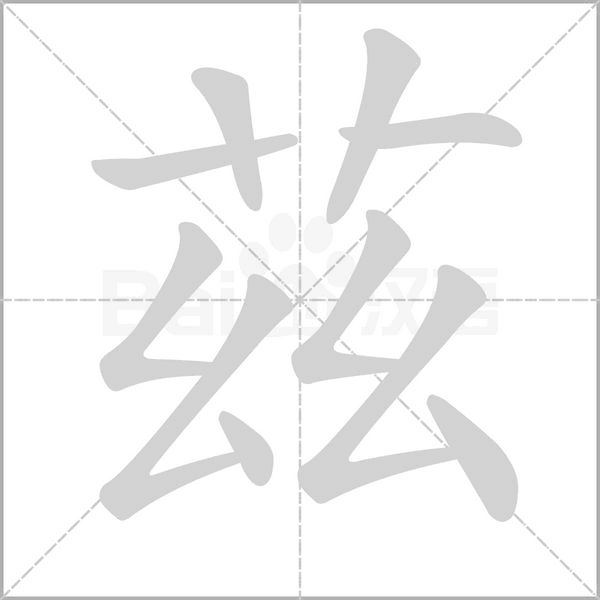 茲字笔顺动画