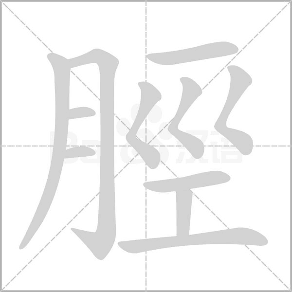 脛字笔顺动画