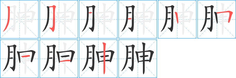 胂字笔顺写法