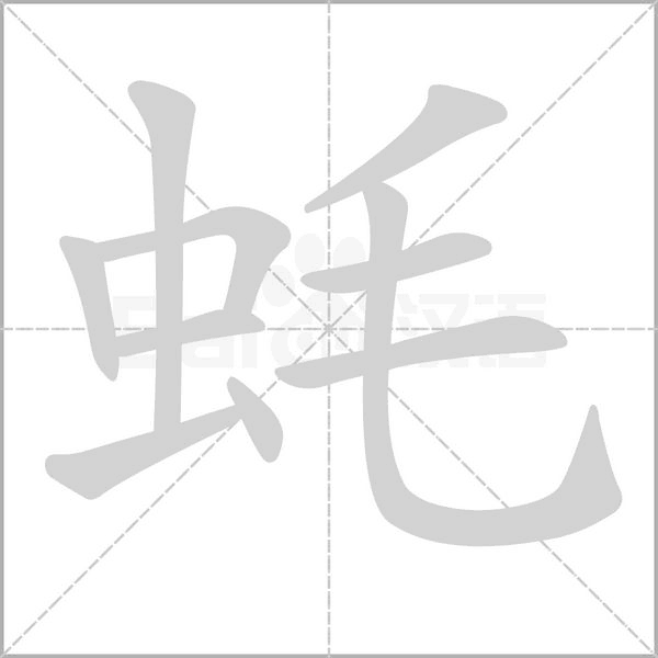 蚝字笔顺动画