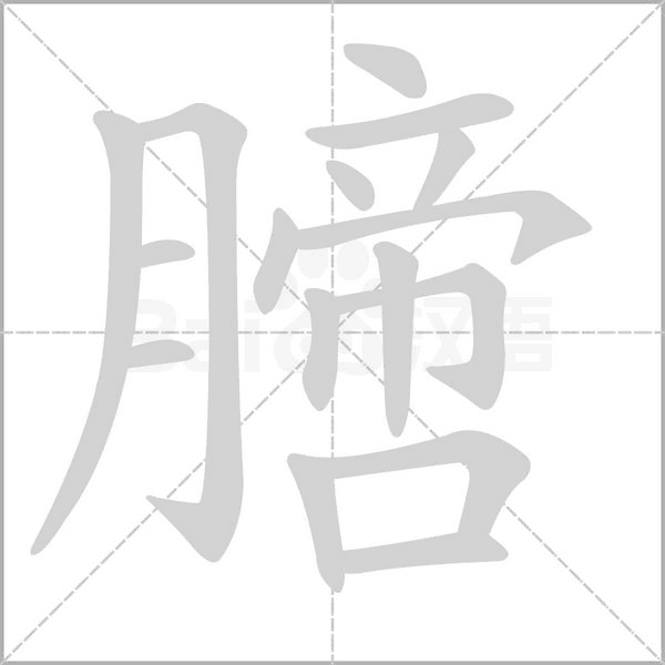 膪字笔顺动画