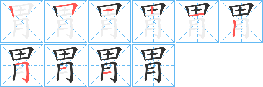 胃字笔顺写法