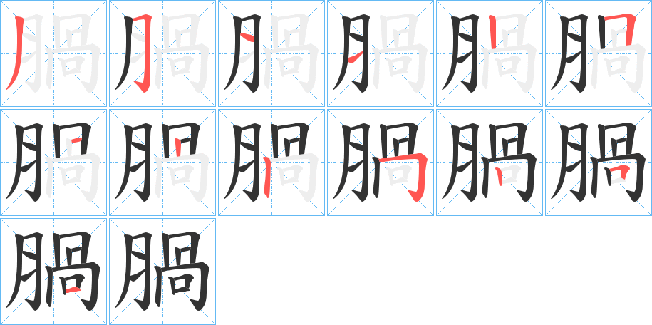 腡字笔顺写法