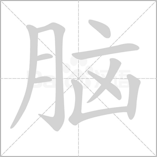 脑字笔顺动画