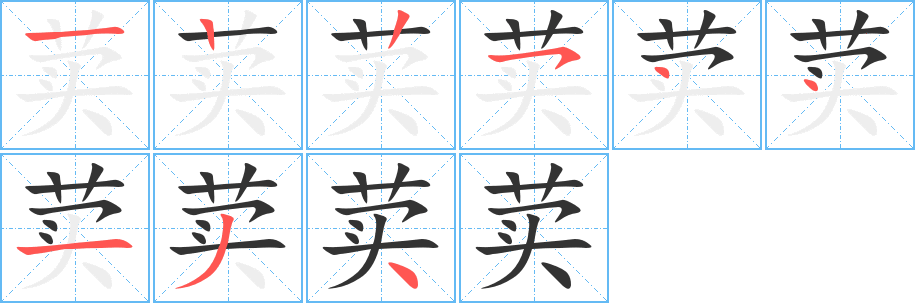 荬字笔顺写法