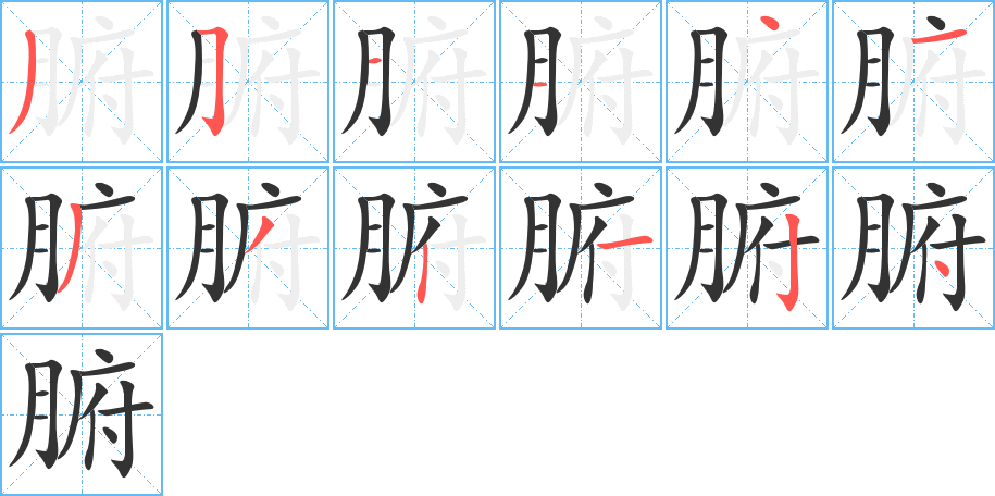 腑字笔顺写法