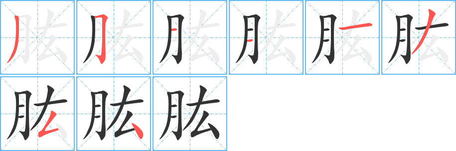 肱字笔顺写法