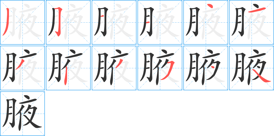 腋字笔顺写法