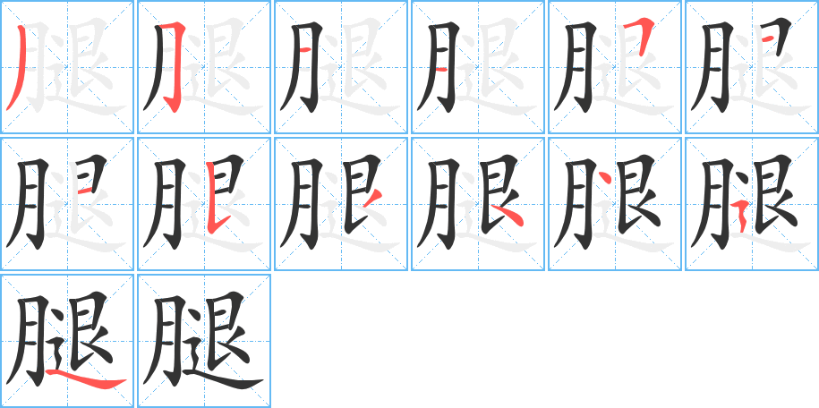 腿字笔顺写法