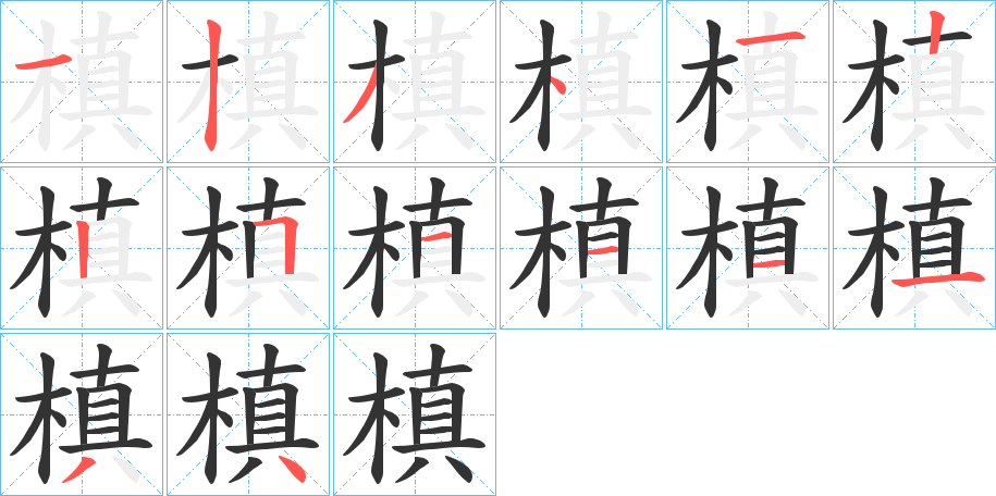 槙字笔顺写法