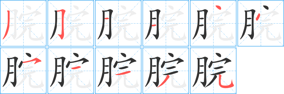 脘字笔顺写法