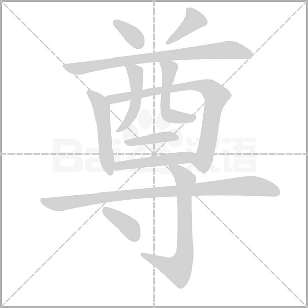 尊字笔顺动画