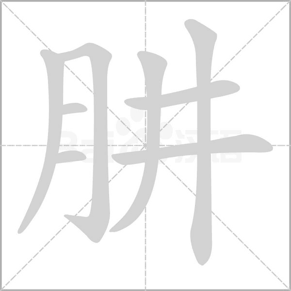 肼字笔顺动画