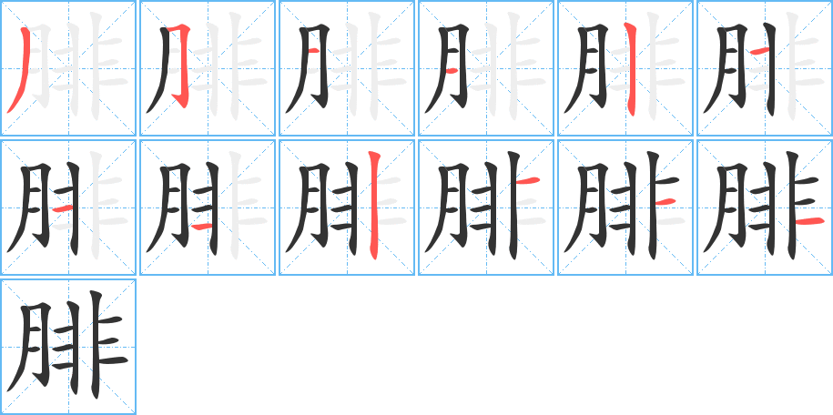 腓字笔顺写法