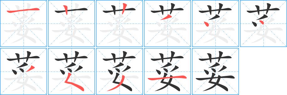 荽字笔顺写法