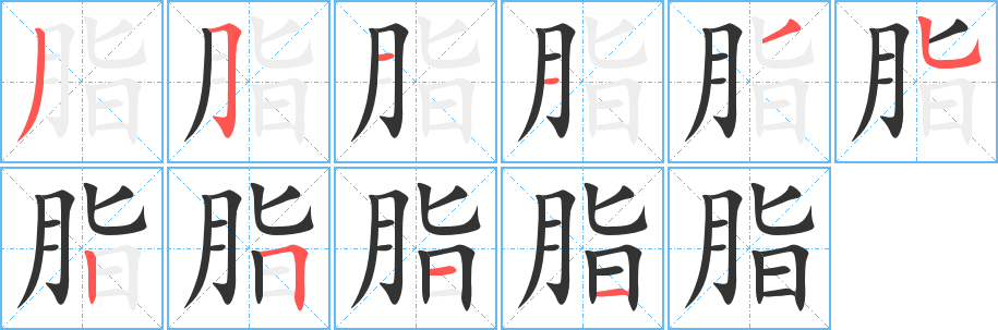 脂字笔顺写法