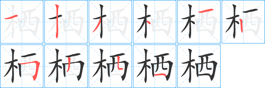 栖字笔顺写法