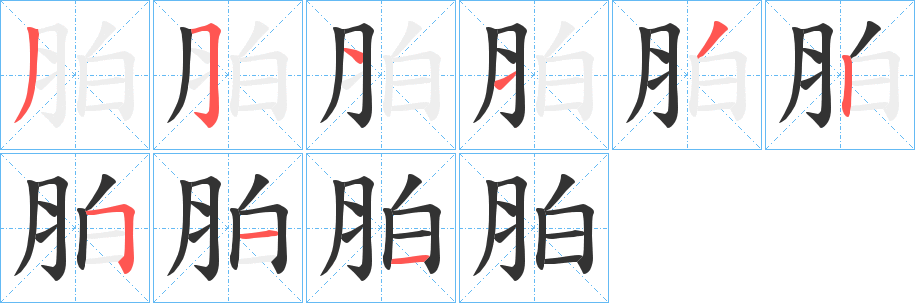 胉字笔顺写法