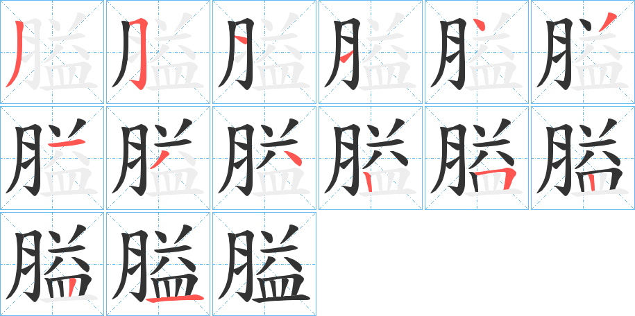 膉字笔顺写法
