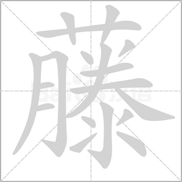 藤字笔顺动画