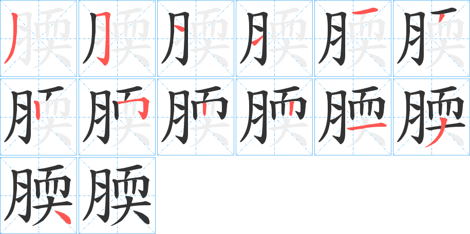 腝字笔顺写法