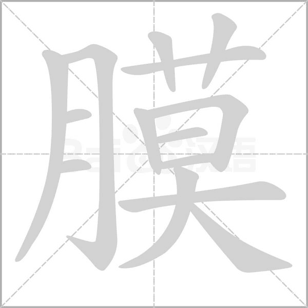膜字笔顺动画