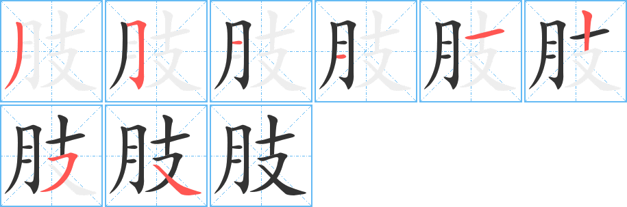肢字笔顺写法