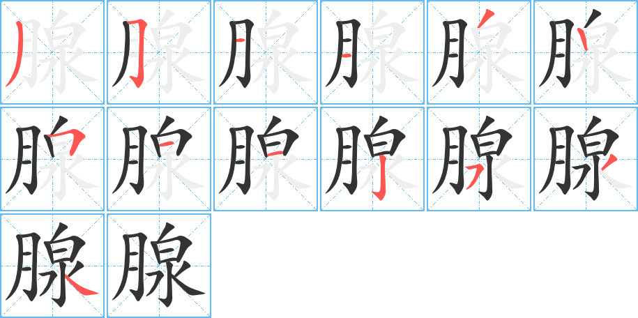 腺字笔顺写法