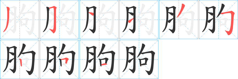 胊字笔顺写法