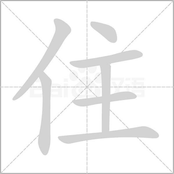 住字笔顺动画