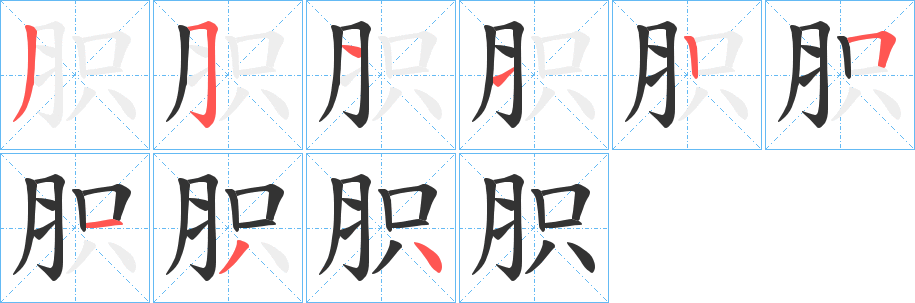 胑字笔顺写法