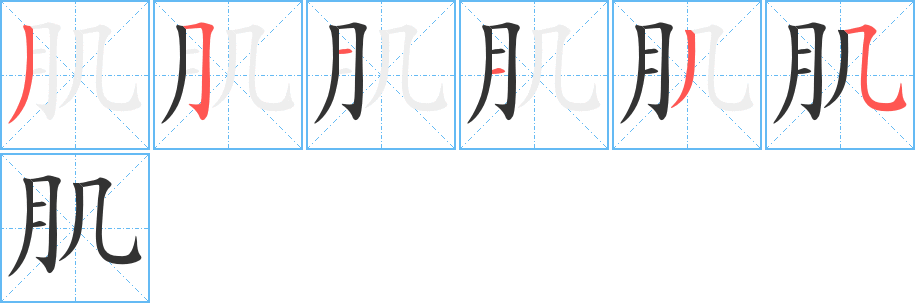 肌字笔顺写法