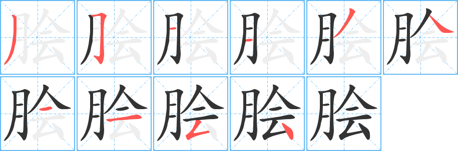 脍字笔顺写法
