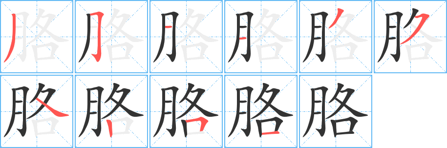 胳字笔顺写法
