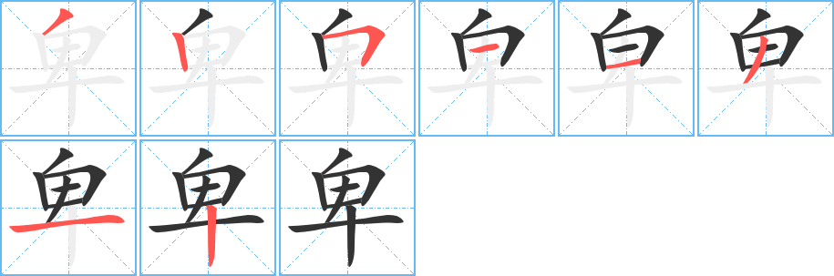 卑字笔顺写法