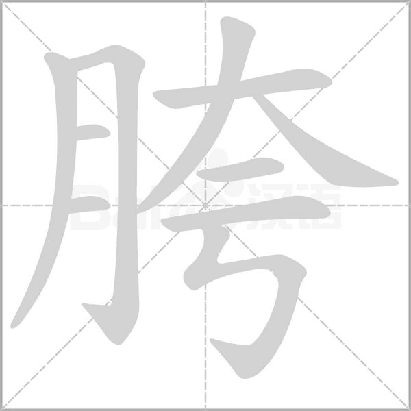 胯字笔顺动画