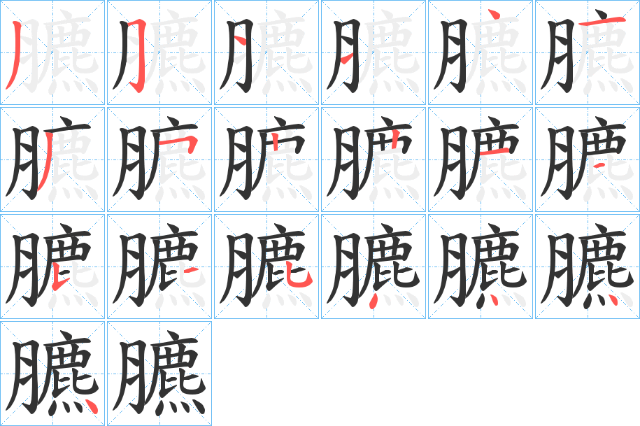 臕字笔顺写法