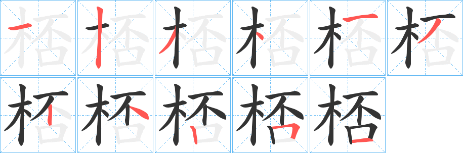 桮字笔顺写法