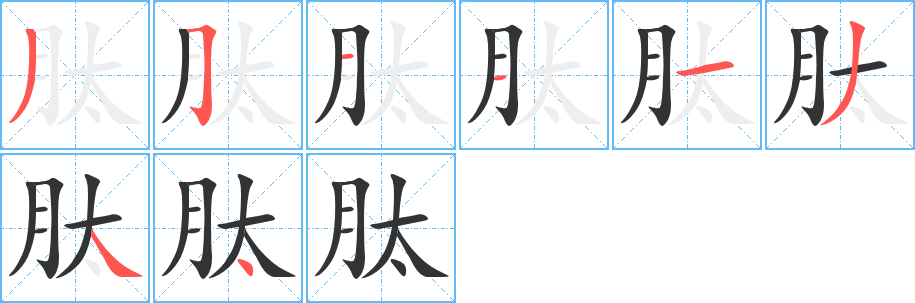 肽字笔顺写法