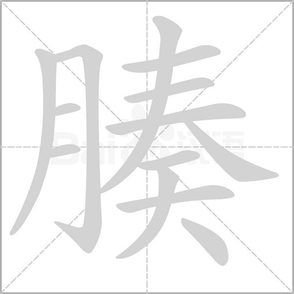 腠字笔顺动画